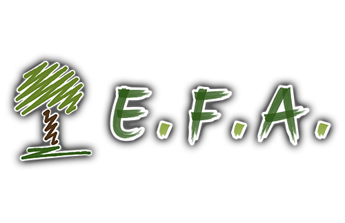 EFA